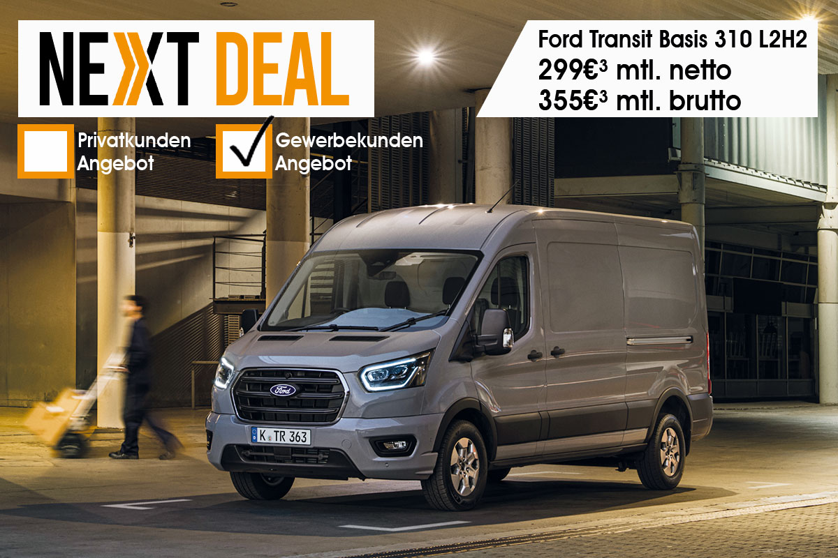 Der Ford Transit Kastenwagen Basis