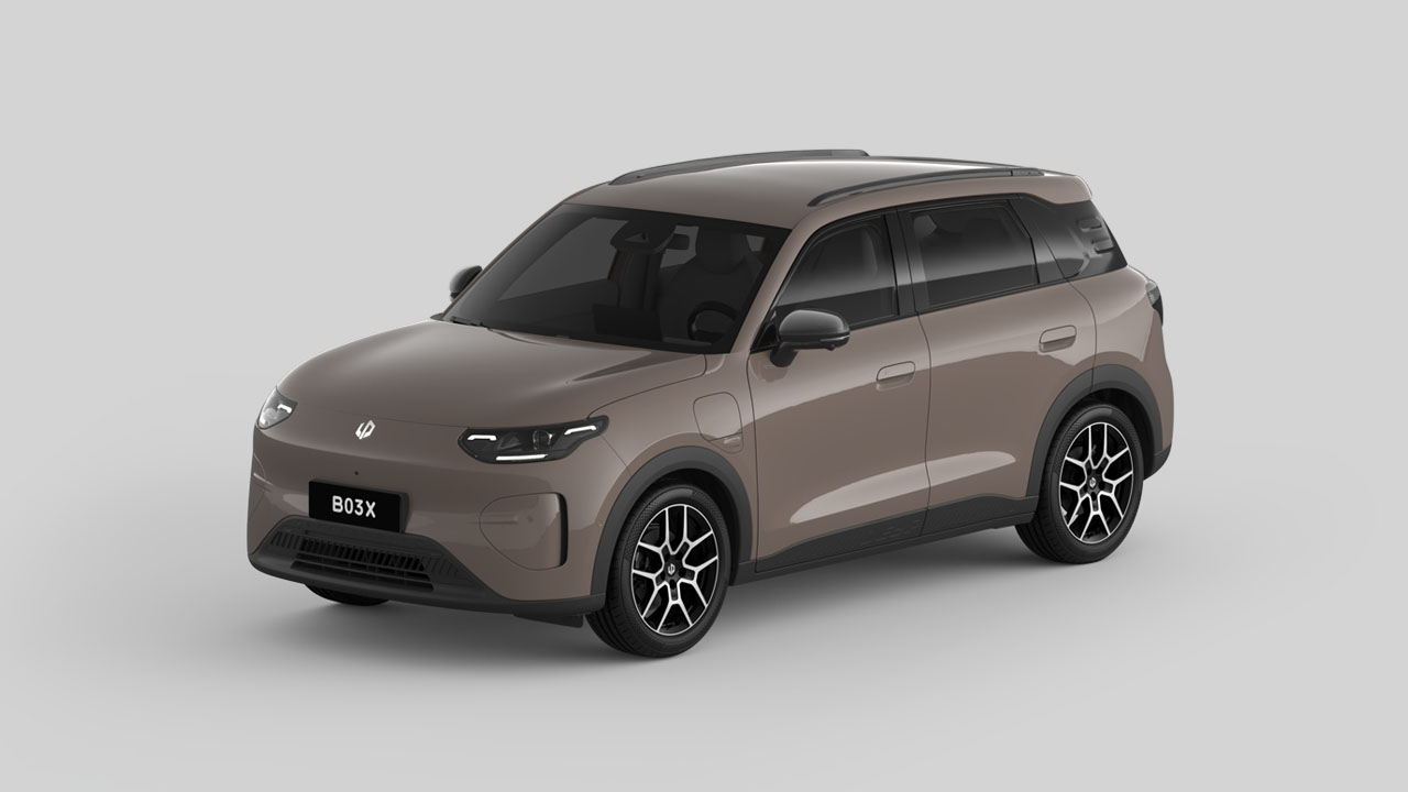 Leapmotor B03X in Acorn Brown von der Seite