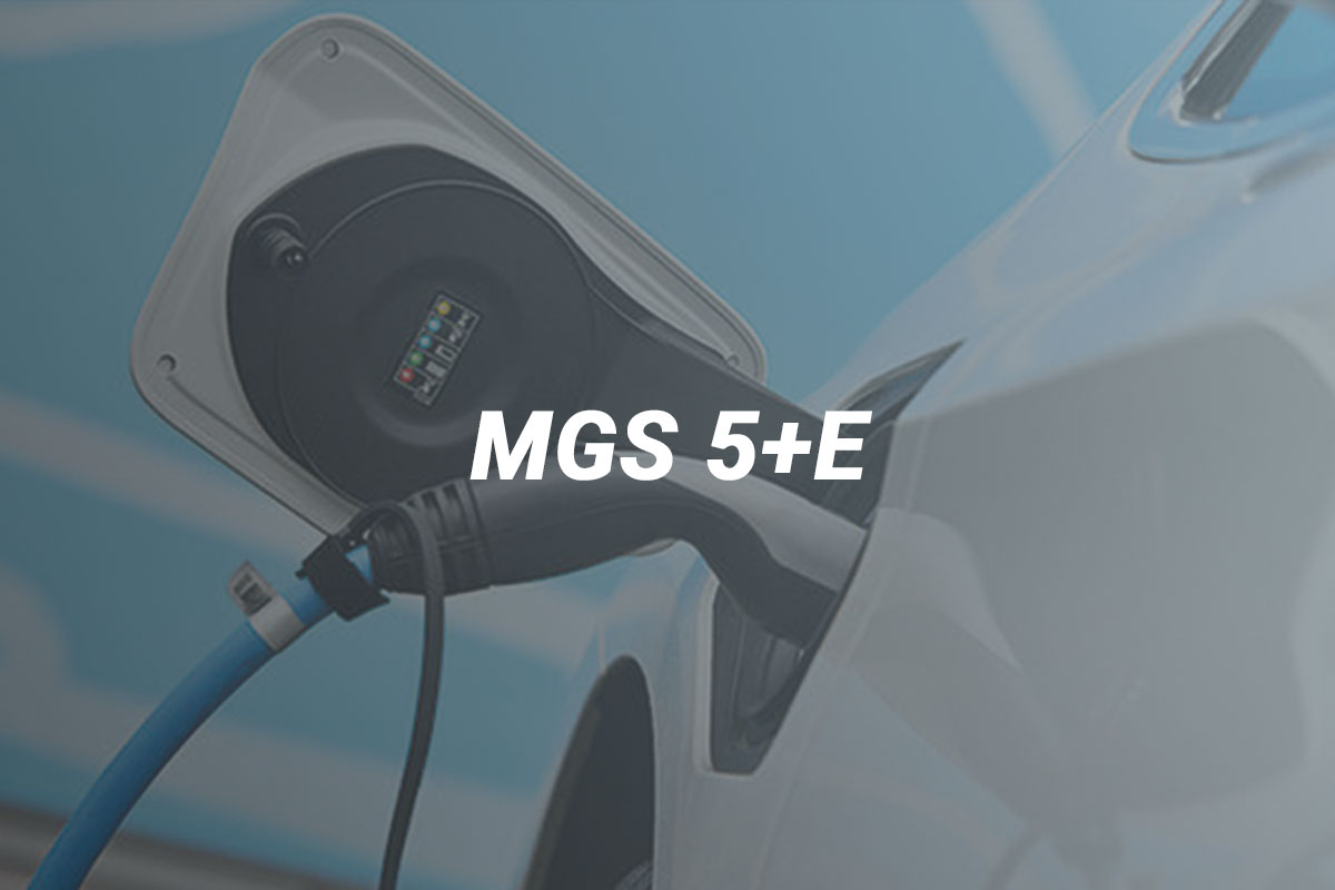 Wartung bei MGS