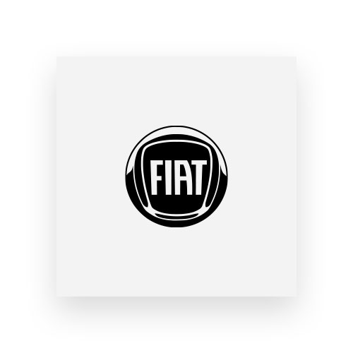 Fiat Marke bei MGS