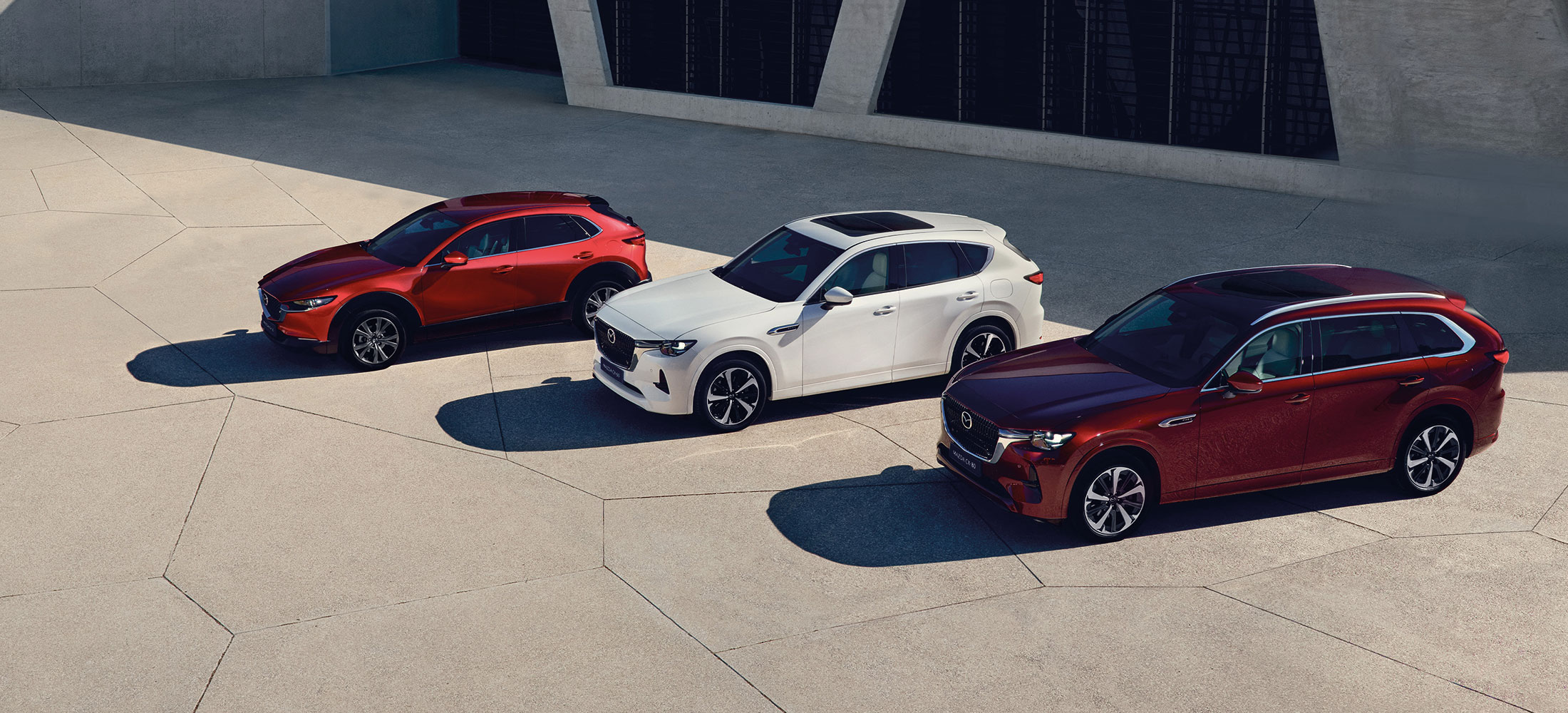 Mazda Marke im Autohaus MGS