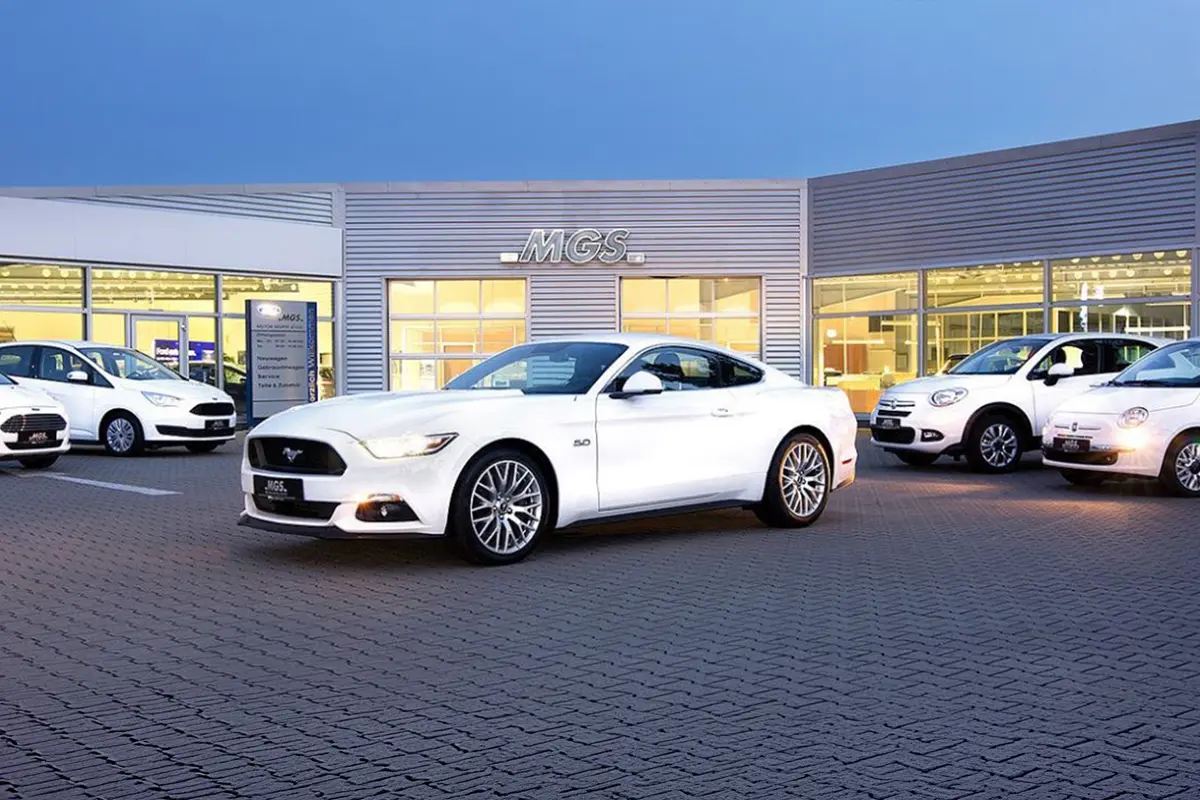 Welches Auto passt zu mir?